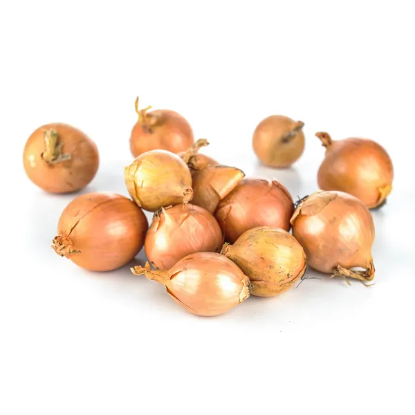 Stādāmi sīksīpoliņi šalotes Red Sun 300g