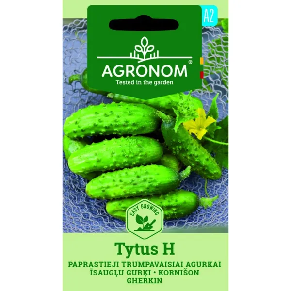 Īsaugļu gurķi Tytus H Agronom