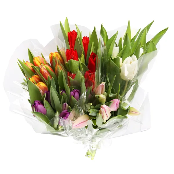 Tulpju pušķis Rimi 35cm, 7 kāti