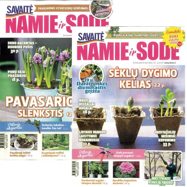 Žurnalas SAVAITĖ NAMIE IR SODE