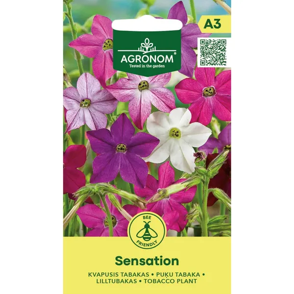 Puķu tabaka Sensation