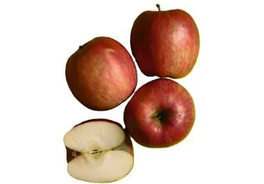 Āboli CRIMSON SNOW kg