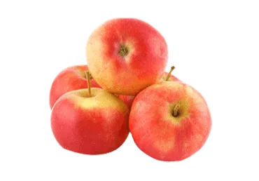 Āboli POLIJAS 65+ kg