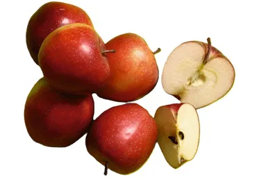 Āboli ROYAL GALA 75+ kg