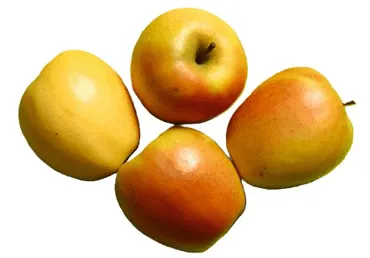 Āboli Rubis Gold 88+ kg