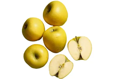 Āboli SHINANO GOLD (YELLO) 80+ kg