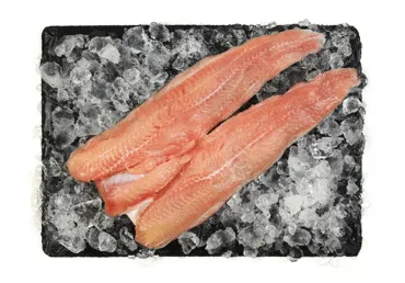 Āfrikas sama fileja ar ādu atdzesēta kg