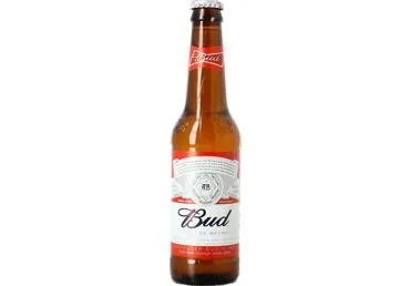 Alus BUD 5% 0,33L D