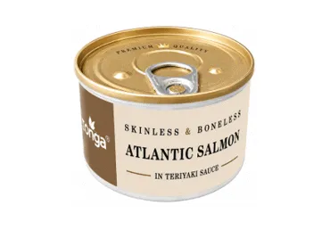 Atlantijas lasis bez ādas terijaki mērcē BANGA 160g