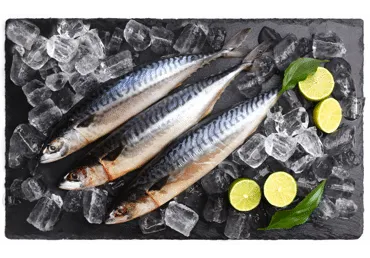 Makrele Atlantijas atkausēta kg