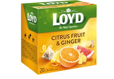 Augļu tēja LOYD Ginger&Citrus 20x2g