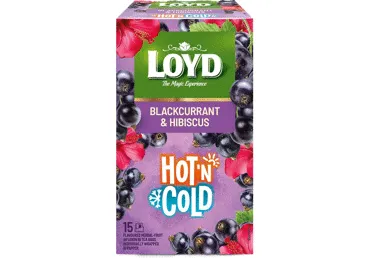 Augļu tēja LOYD Hot&Cold upeņu 15x2g