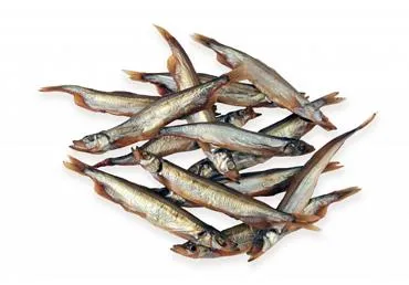 Auksti kūpināta moiva ZIVJU MEISTARS kg