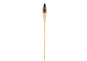 Bambusa lāpa CORUBA 90cm