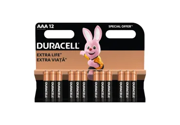 Baterijas DURACELL AAA 12gab.