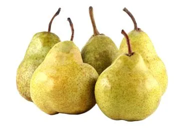 Bumbieri GUYOT kg