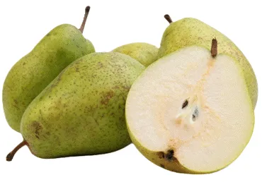 Bumbieri LUCAS lielie 75+ kg