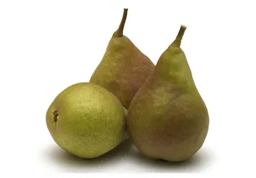 Bumbieri WILLIAMS kg