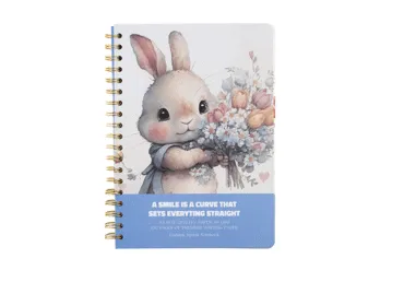 Burtnīca, 100 lapas, rūtiņu