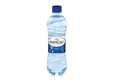 Dabīgais minerālūdens MANGAĻI gāzēts 500ml D