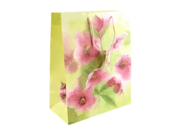 Dāvanu maisiņš liels 26x32x13.5