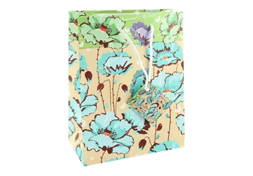 Dāvanu maisiņš vidējs 17.5x23x10