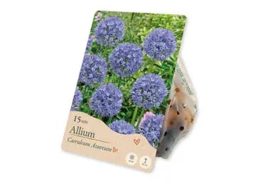 Dekoratīvs Ķiploks Caeruleum Azureum 15gab.