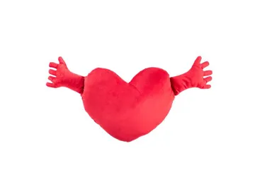 Dekoratīv.spilventiņš Sirsniņa 40x40cm