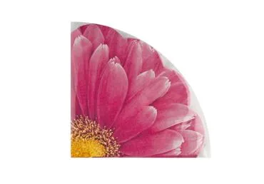 Form.salvetes ELEMENTS SENSE 12gab.D32cm