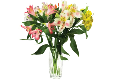 Grieztie ziedi Alstromērijas 7gab.