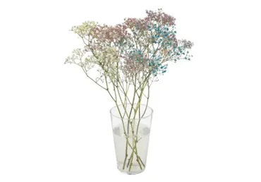 Grieztie ziedi Ģipsenes 5gab.