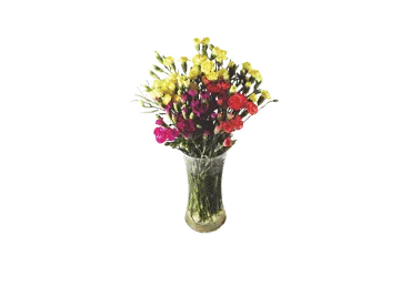 Grieztie ziedi sīkziedu neļķes 9gab. Kolumbija