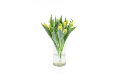 Grieztie ziedi TULPES 11gab. pildītās