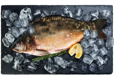 Karpa ar galvu ķidāta atdzesēta kg