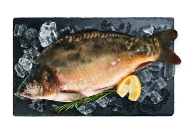 Karpa ķidāta atdzesēta vakuumā kg