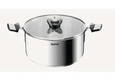 Katls ar vāku TEFAL Emotion+ 24cm