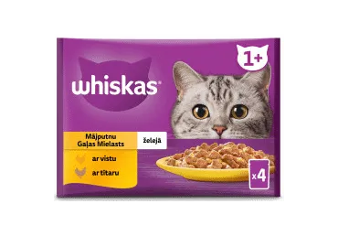 Konservēta  kaķu barība WHISKAS putnu gaļa 4x85g