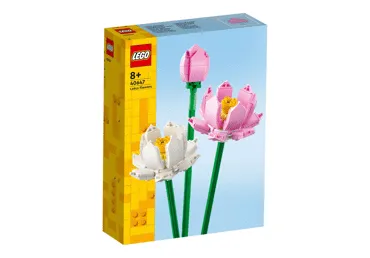 Konstruktors LEGO Lotoss zieds 40647
