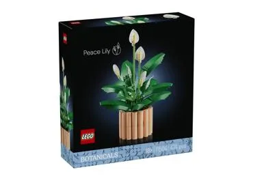 Konstruktors Lego Spatifīla 11504