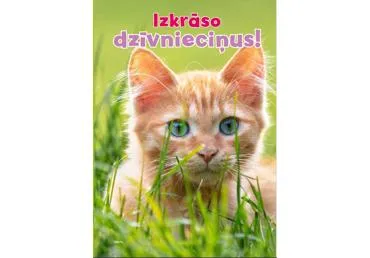 Krāsojamā grāmata Izkrāso dzīvnieciņus