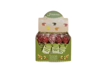 Ledene uz kociņa bez pievienota cukura