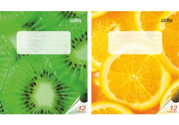 Līniju burtnīca 4.kl. 12l.