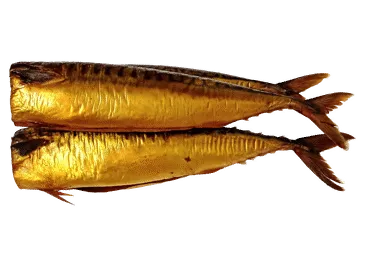 Makrele auksti kūpināta bez galvas AVIS-D kg