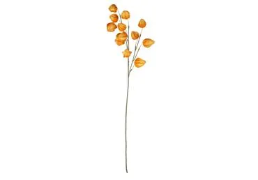 Mākslīgie ziedi ELEMENTS SENSE 2 krāsas 80cm