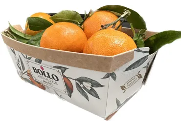Mandarīni ar lapām BOLLO 700g