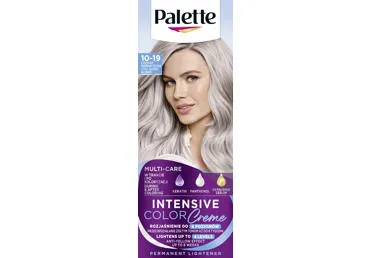 Matu krāsa PALETTE 10-19 vēss sudraba blonds