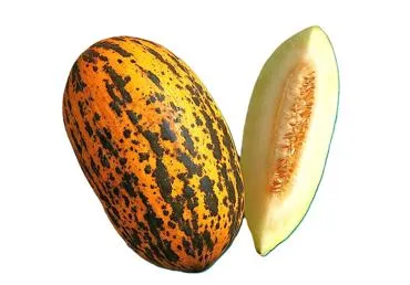 Melone Shahnazar kg