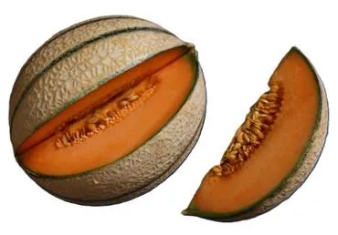 Melones CANTA LOUPE kg