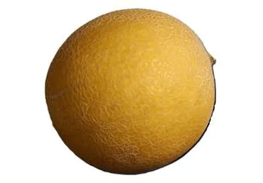 Melones GALIA kg