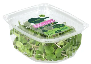 Mikrozaļumi redīsu LEAFOOD 25g